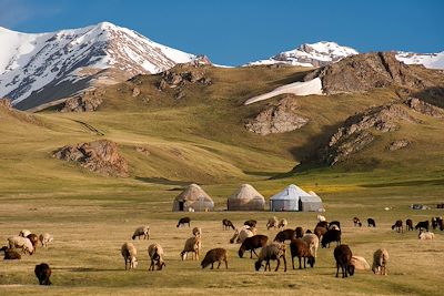 Randonnée Ouzbekistan