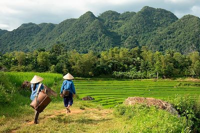 Mystérieuse baie d'Halong et sourires d'Angkor