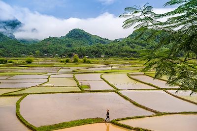 Vélo Hanoi et la Baie d'Halong