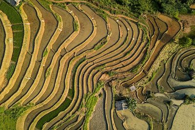 Trek Hanoi et la Baie d'Halong