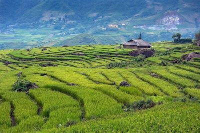 Voyage  Hanoi et la Baie d'Halong