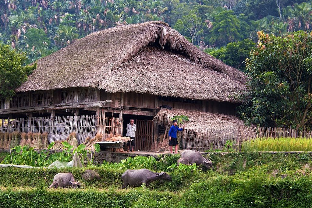 Voyage Ethnies, rizières et baie d'Halong 2