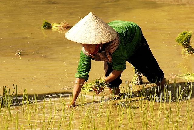 Découverte : Mystérieuse baie d'Halong et sourires d'Angkor Voyage Mystérieuse baie d'Halong et sourires d'Angkor