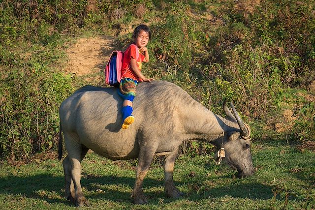 Voyage : L'intégrale du Vietnam en famille Voyage L'intégrale du Vietnam en famille