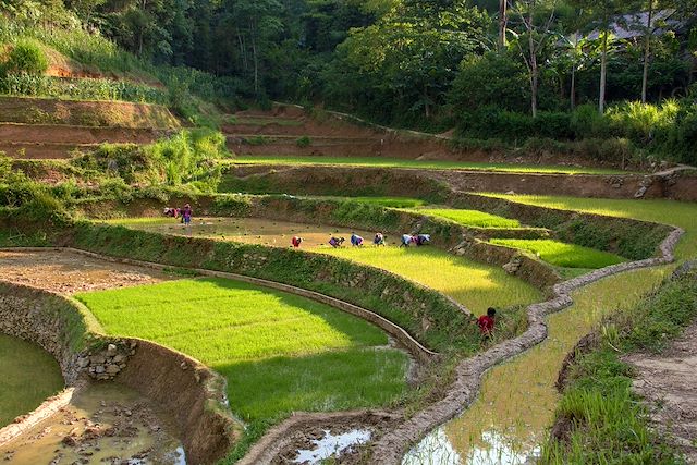 Voyage : L'intégrale du Vietnam en famille Voyage L'intégrale du Vietnam en famille