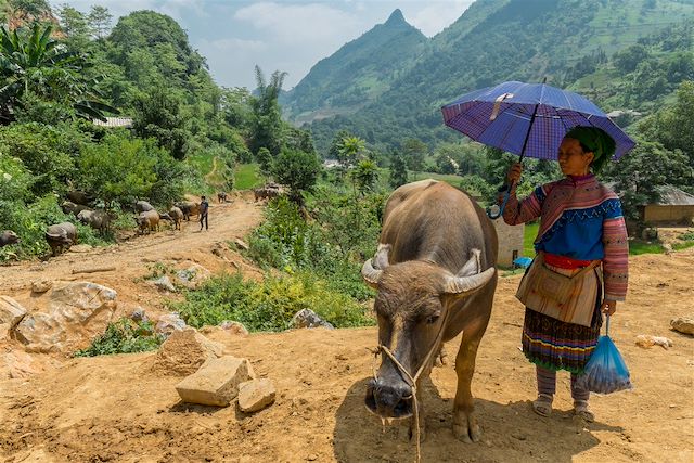 Voyage Les incontournables du Vietnam à vélo