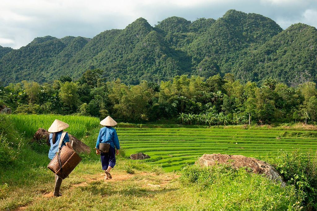 Voyage Hanoi et la Baie d'Halong