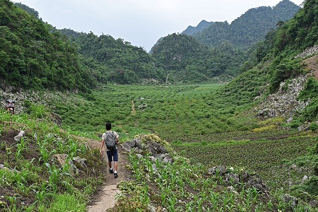 Voyage Ethnies, rizières et baie d'Halong