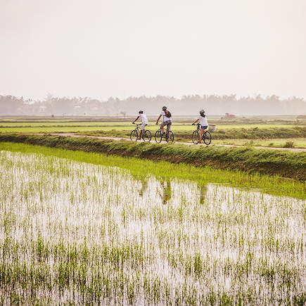 Vélo Sud, Saigon et Delta du Mékong