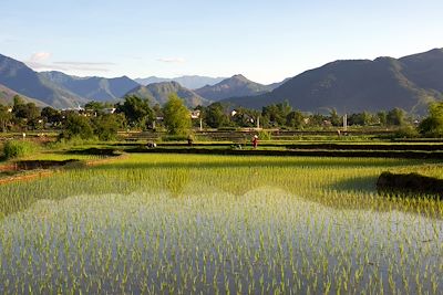 Immersion chez les ethnies du Tonkin