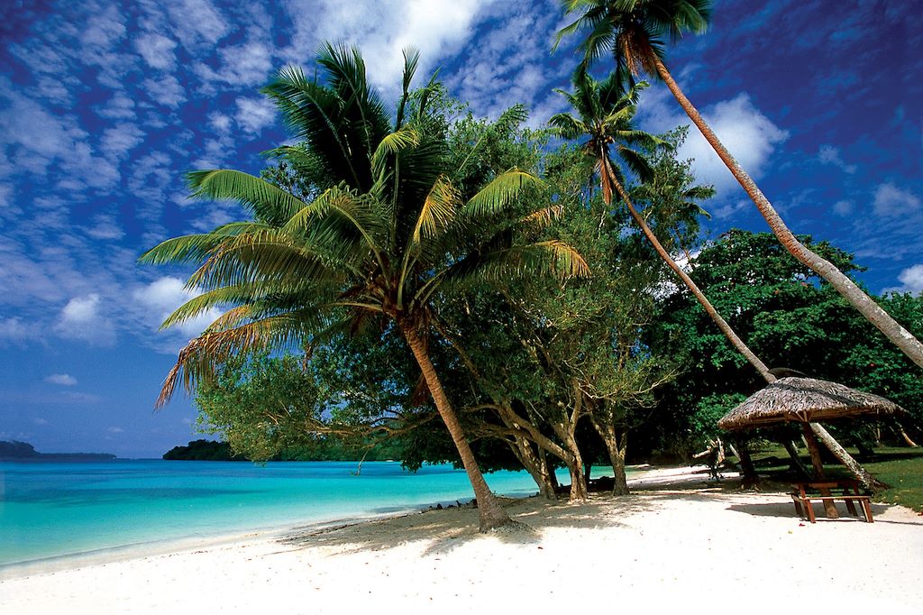 Voyage Ethnies, jungle et volcans actifs du Vanuatu 3