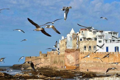 Charme et nature d'Essaouira et de sa côte sauvage