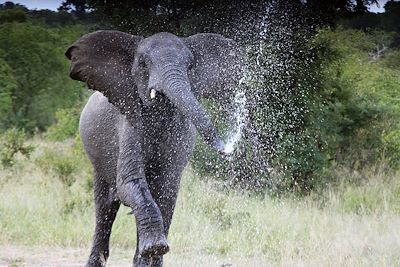 Afrique du Sud : Voyages en famille