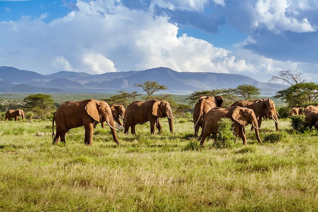 Afrique du Sud : Circuits accompagnés