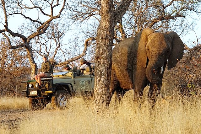 Voyage Traversée du Kruger et plages du Mozambique