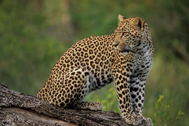 Autotour : En piste pour les grands espaces d'Afrique du Sud Voyage En piste pour les grands espaces d'Afrique du Sud