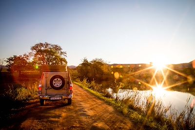 Safari Afrique du Sud