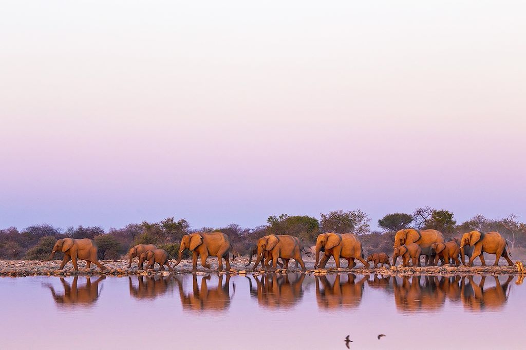 Voyage Blyde River Canyon, Kruger et Mozambique 