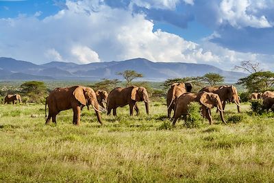 Voyage Brousse et Savane Afrique du Sud