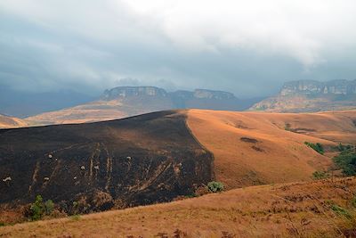 Voyage Brousse et Savane Afrique du Sud