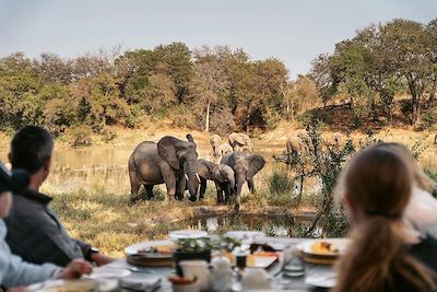 Voyage  Parc Kruger