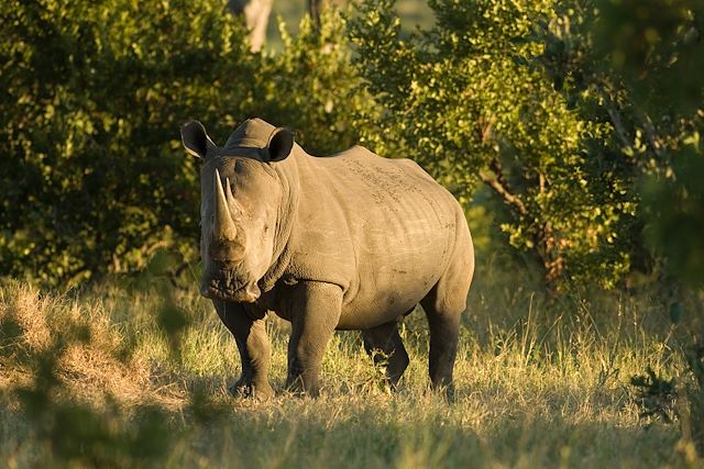 Voyage Du Lesotho au Kruger, l’autre Afrique du Sud