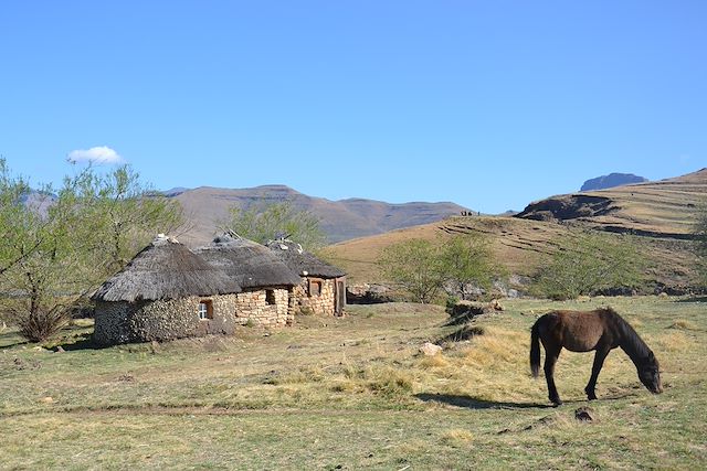 Voyage Du Lesotho au Kruger, l’autre Afrique du Sud