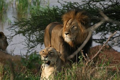 Voyage Afrique du Sud