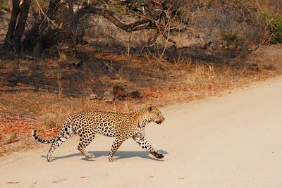 Voyage Bord de mer et îles Afrique du Sud