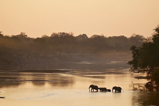 Observation animalière : La Zambie, une nature indomptée Voyage La Zambie, une nature indomptée