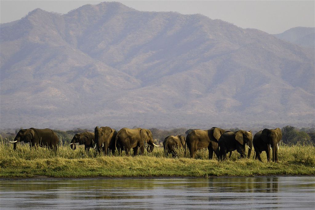 Zimbabwe : Voyages sur mesure
