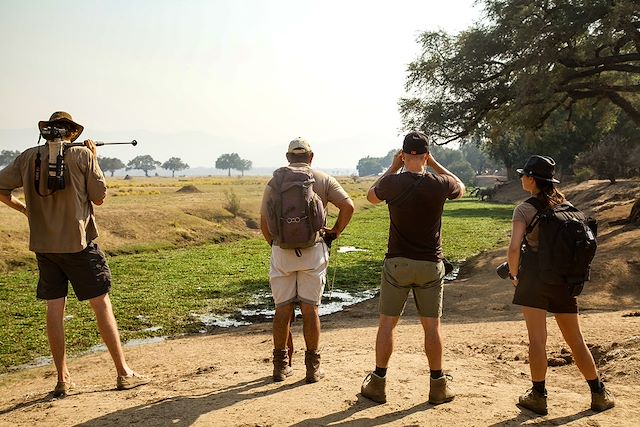 Voyage Des chutes du Zambèze à Mana Pools, safaris à pied