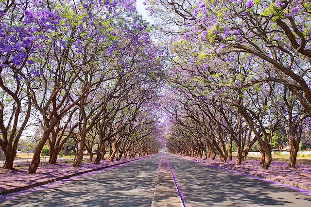 Voyage Road trip au Zimbabwe, perle de l'Afrique australe