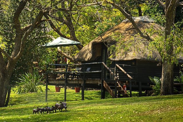 Voyage Safari en famille au Botswana et au Zimbabwe