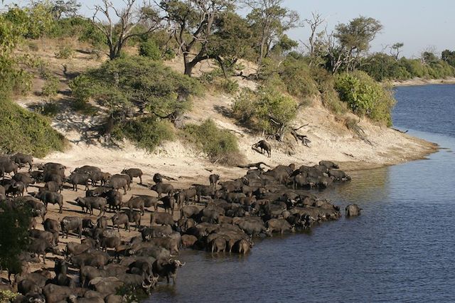 Voyage Safari en famille au Botswana et au Zimbabwe