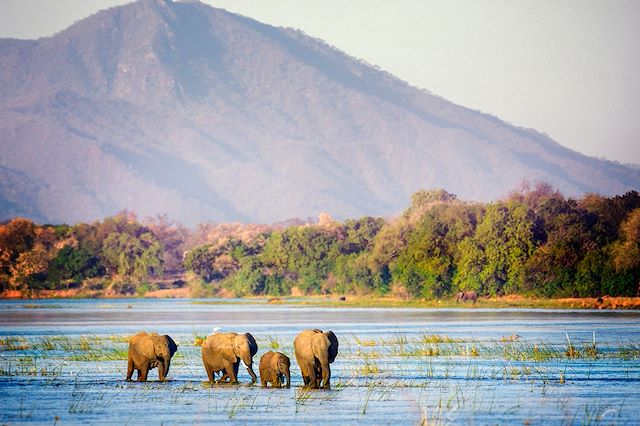 Safari en véhicule : Au fil du Zambèze, safari en canoë, Mana Pools Voyage Au fil du Zambèze, safari en canoë, Mana Pools
