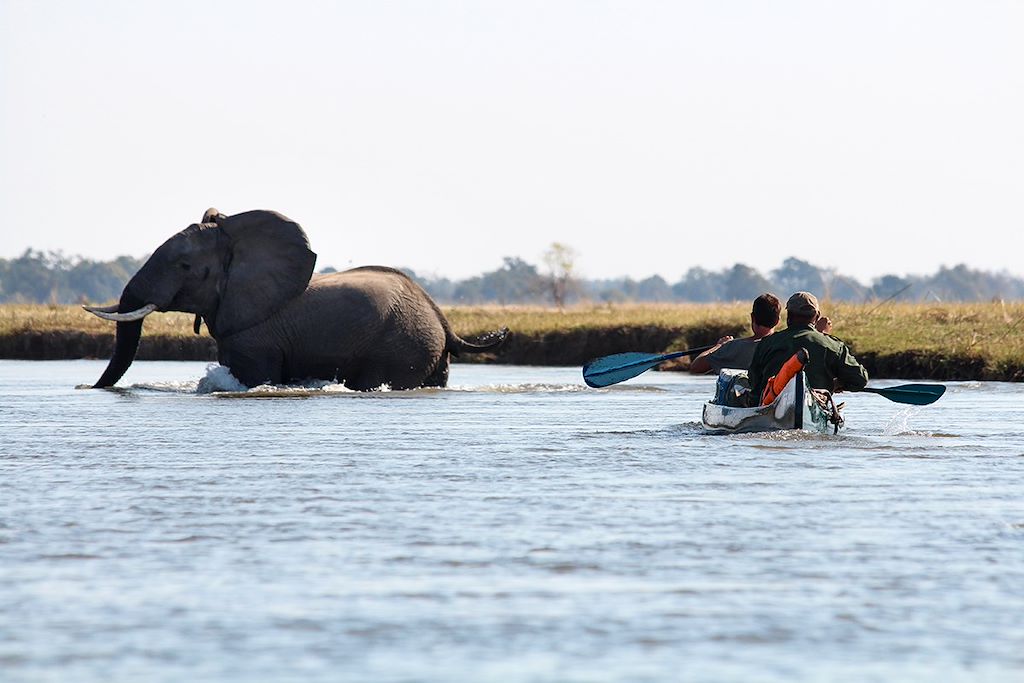 Voyage Zimbabwe