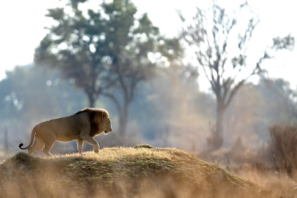 Voyage Zimbabwe