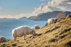 Voyage Irlande
