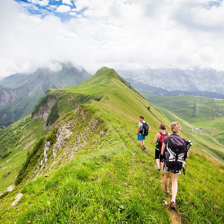 ©Tomfry/Adobe Stock