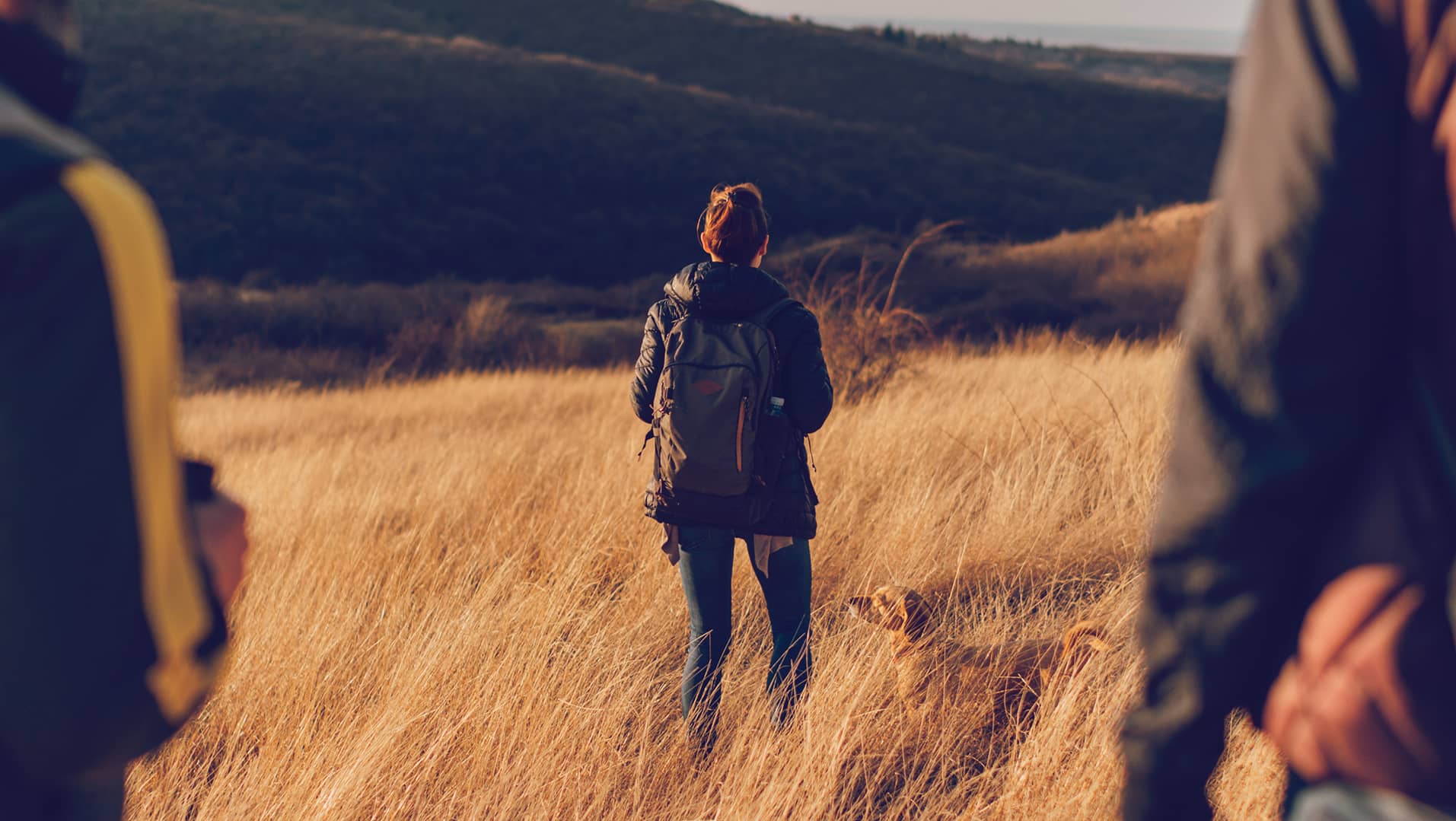 Rejoignez Terres d'Aventure