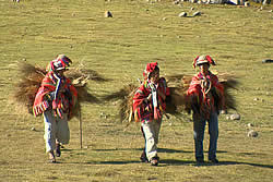 Pourquoi l'homme marche ? Pourquoi l'homme marche ?