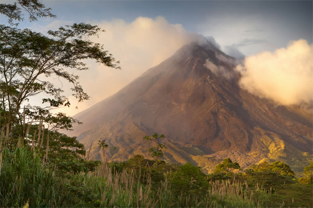 © Viberphoto.com - Sarapiqui - Costa Rica