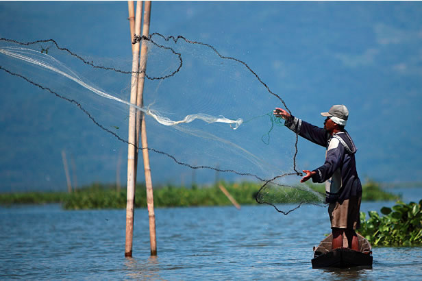 © Dominic Clarisse - Lac Rawapening - Java - Indonésie