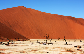 Le parc du namib - naukluft