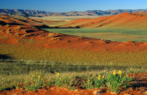 Le sud namibien, Fish River Canyon et le désert du Kalahari