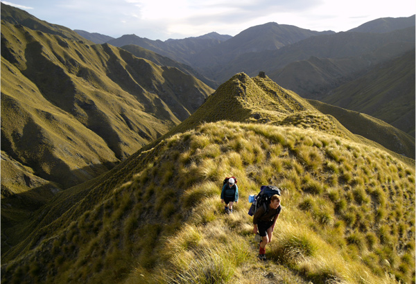 © Amos-Chapple-Motutapu-Track-Queenstown