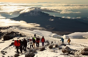 Kilimanjaro